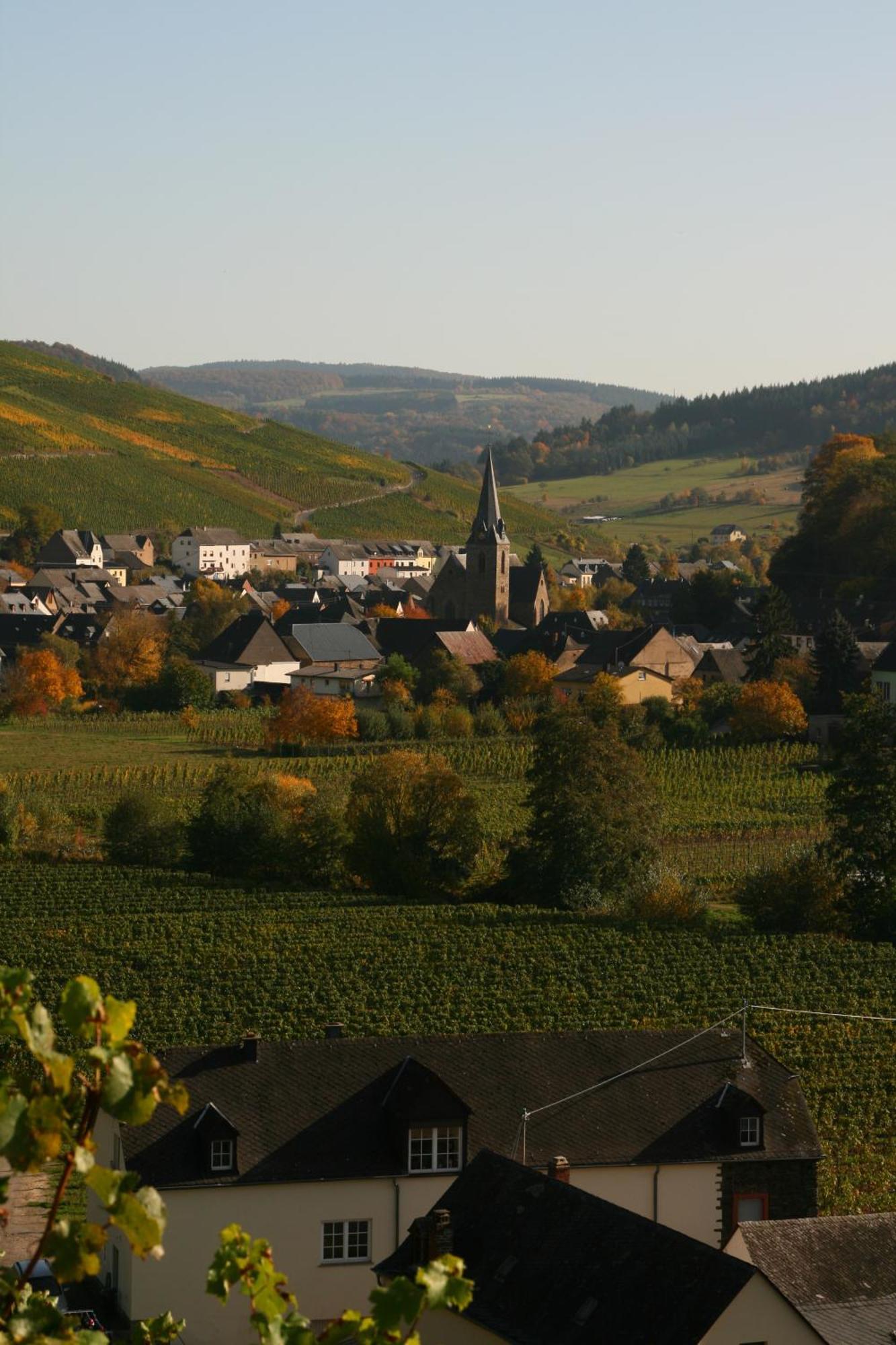Weingut & Gaestehaus Stephan Kohl Ноймаген-Дрон Екстериор снимка